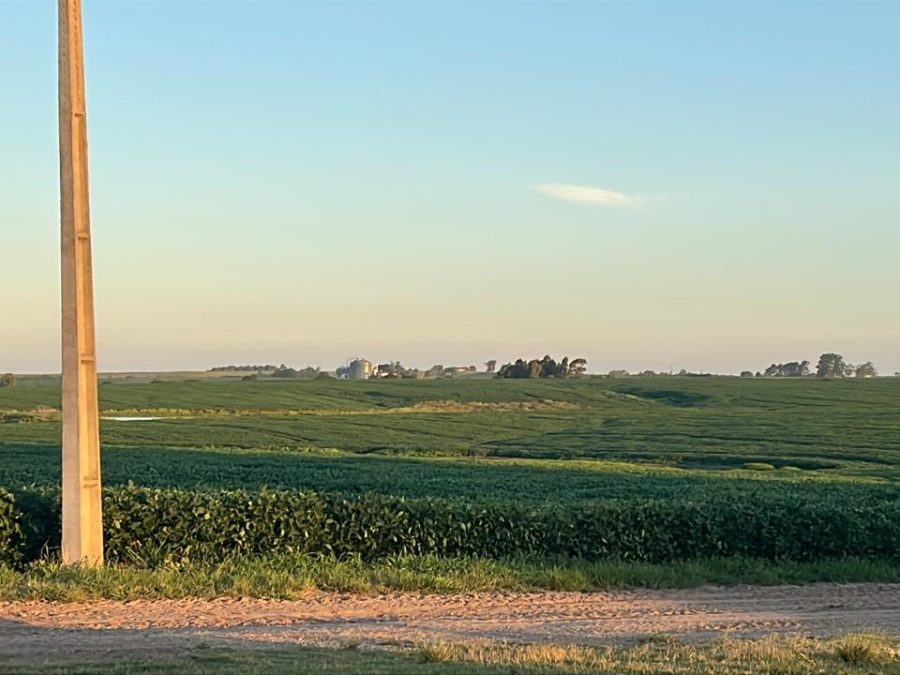 Fazenda à venda