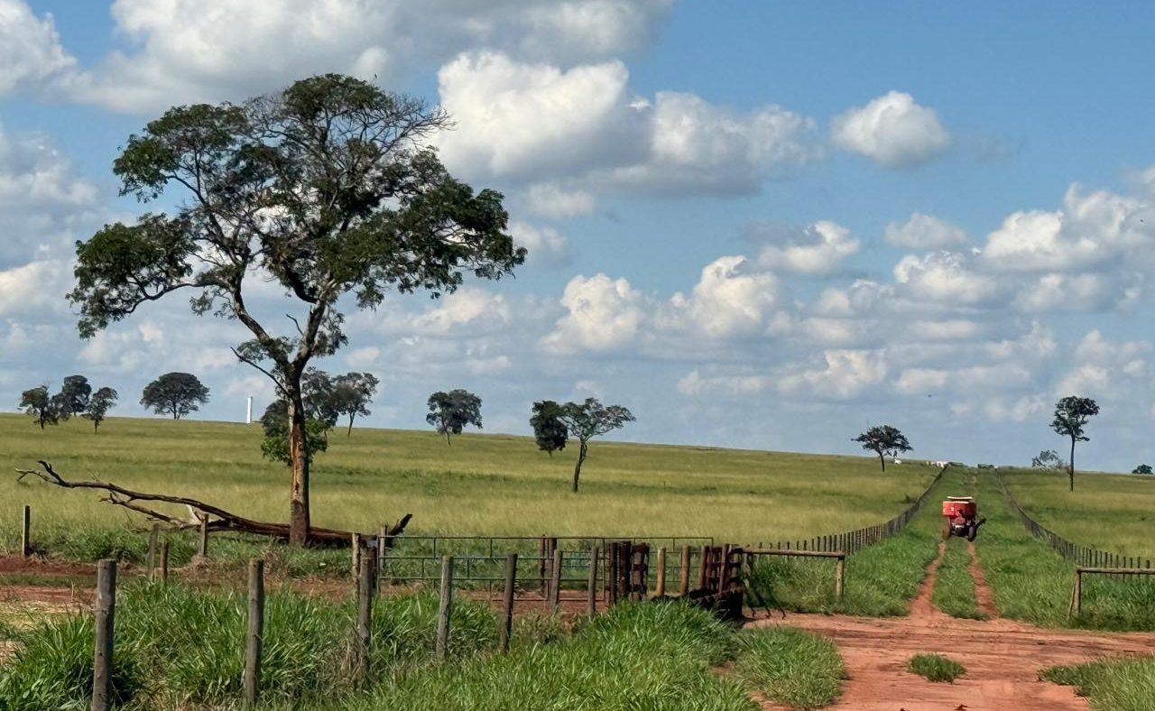 Fazenda à venda – Campina Verde/MG. Forte aptidão agrícola