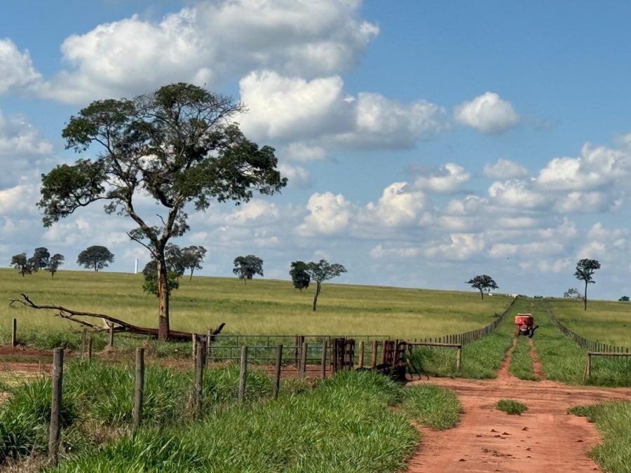 Fazenda à venda Campina Verde/MG