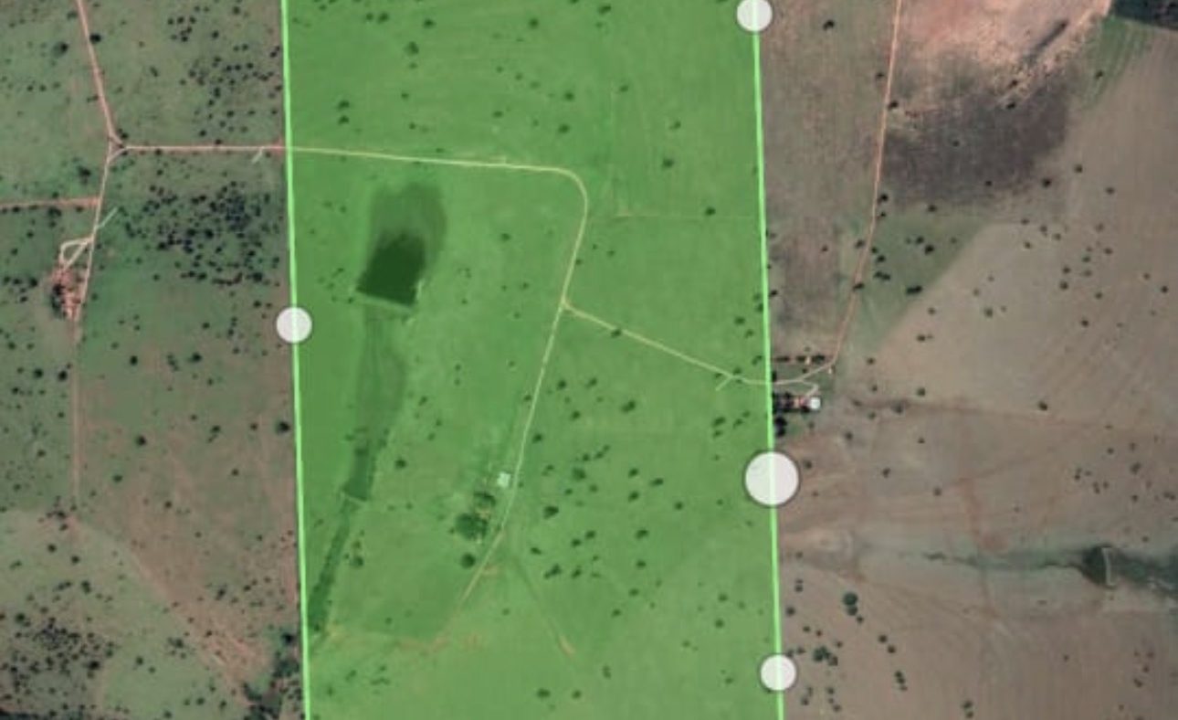 Fazenda 65 alqueirão + 15 alqueirão de reserva fora