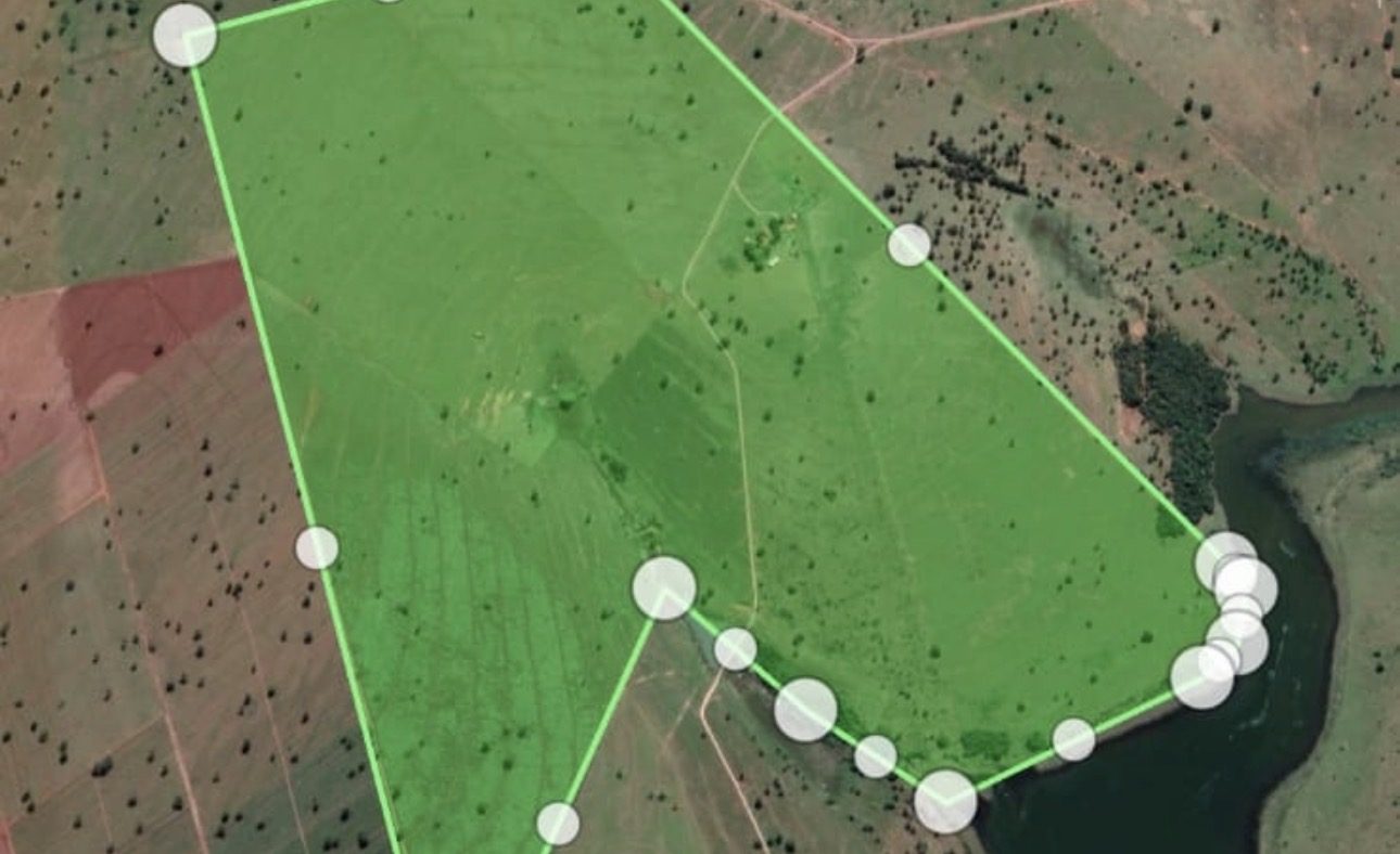 Fazenda de 42,5 alqueirao + 8,5 alqueirão reserva fora